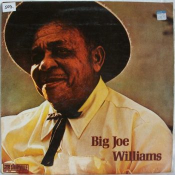 Big Joe Williams – Big Joe Williams  Vinyl, LP, Album  media EX cover EX
