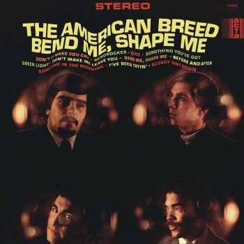 The American Breed – Bend Me, Shape Me  Vinyl, LP, Album, media NM cover VG+