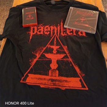 Pâenil Era - A Wilting Fountain T-Shirt  conform descrierii