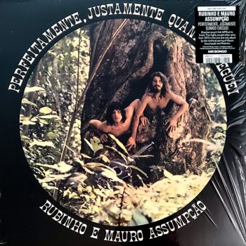 Rubinho E Mauro Assumpção – Perfeitamente, Justamente Quando Cheguei  Vinyl, LP, Album, media NM cover NM