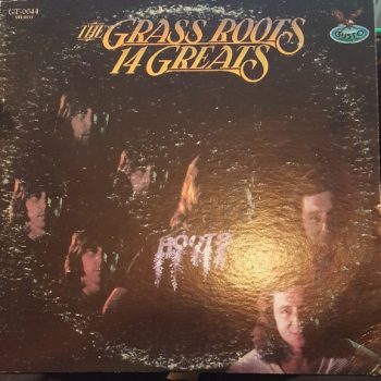 The Grass Roots – 14 Greats  Vinyl, LP, Compilation media VG+ cover VG