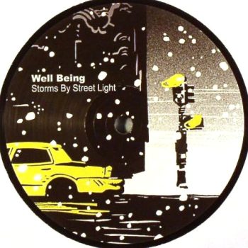 Well Being – Storms By Street Light / I Heart You  Vinyl, 12", 45 RPM  media VG+ cover GENERIC